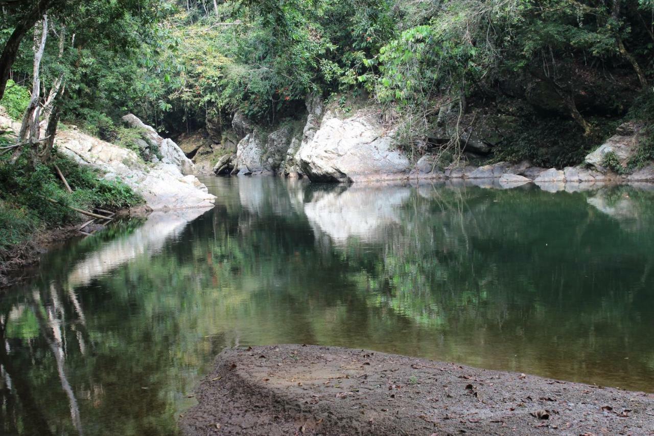 Hotel El Tigrillo Rio Claro By Los Colores Ecoparque Doradal Esterno foto