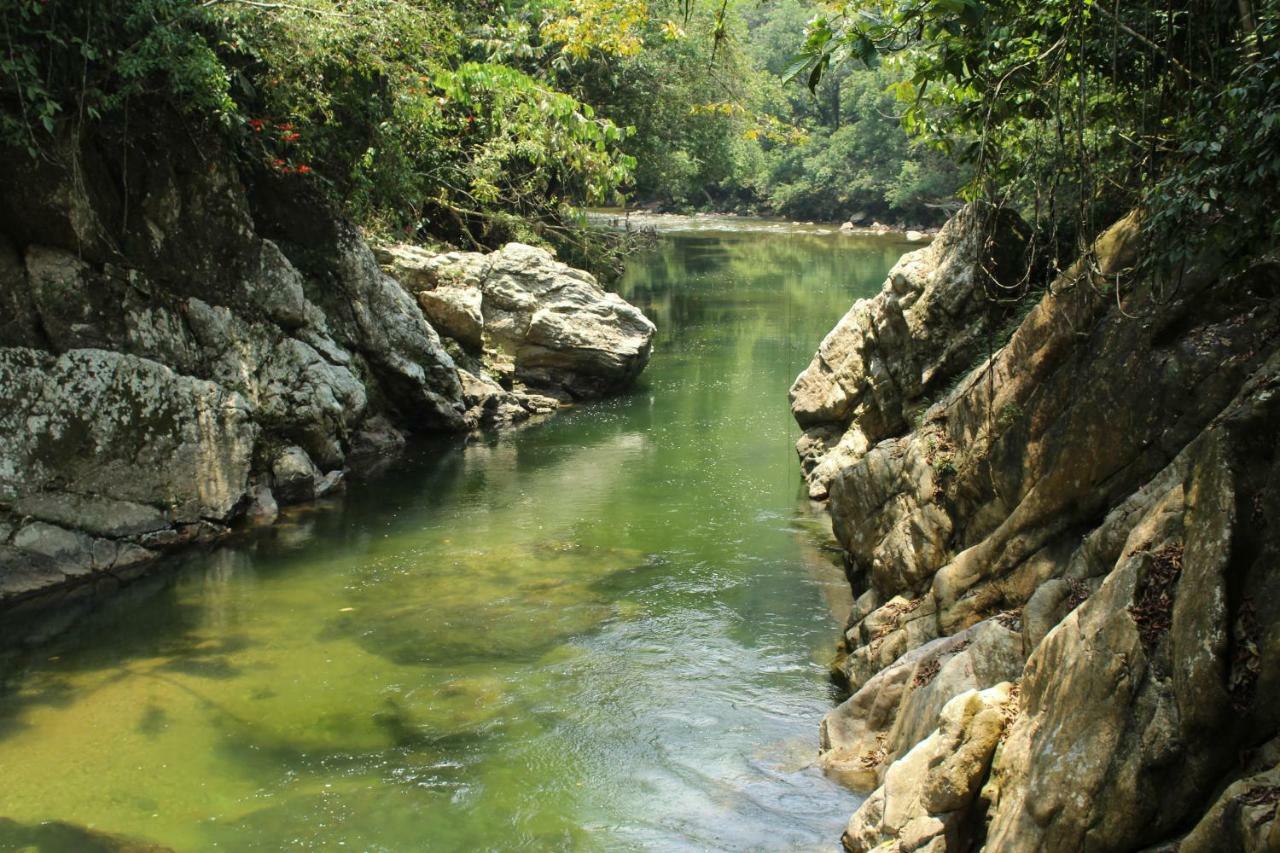 Hotel El Tigrillo Rio Claro By Los Colores Ecoparque Doradal Esterno foto